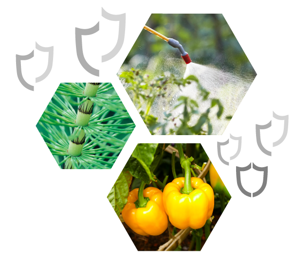 Protección vegetal - Nutricrop